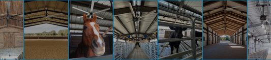 reduce humidity in horse arenas
