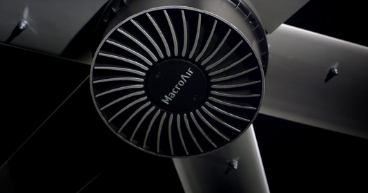 history of big fans