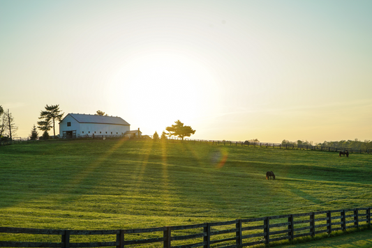 barndominium cooling