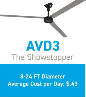 AVD3