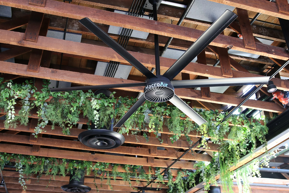 Large Ceiling Fans