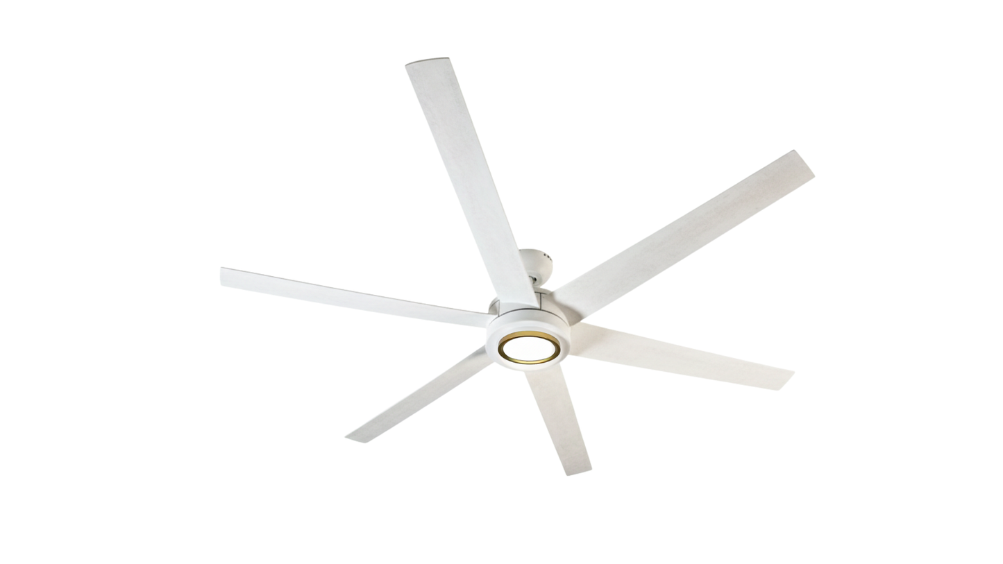 72 Inch Lincoln Street 6