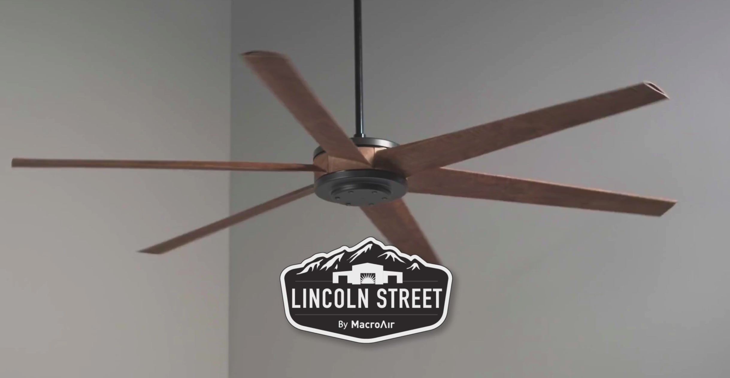 蘭丸 $_57.PNG?set_id=880000500F